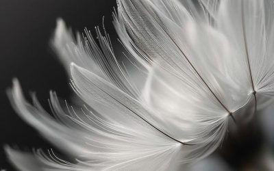Beauty, Sometimes, Arrives Undone on Purpose
