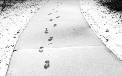 Even Trembling Steps Leave Footprints