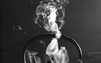 The Warmth We Pour is The Stillness We Find