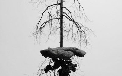 Every Sharp Tone Has a Softer Root