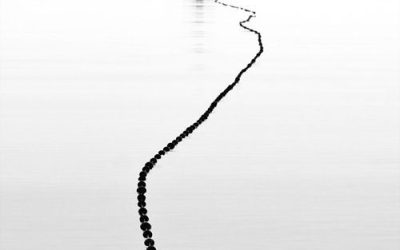 Not Every Step Must Chase a Horizon