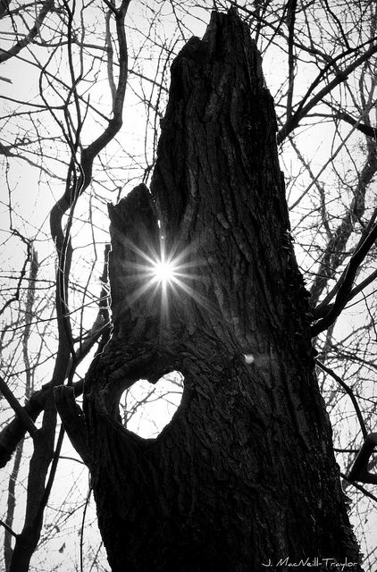 A Heart Placed in The Simple, Makes The Simple Timeless