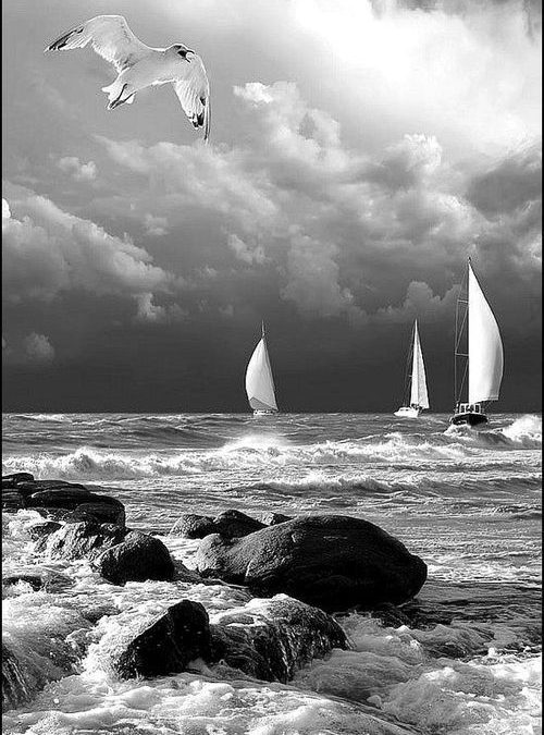 Small Ripples Can Change The Tide