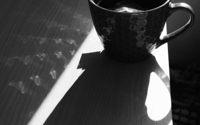Sunlight Teaches Us Presence, Not Possession
