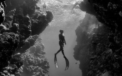 In the Depths, Wisdom And Wonder Flow as One
