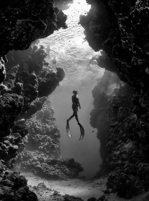 In the Depths, Wisdom And Wonder Flow as One