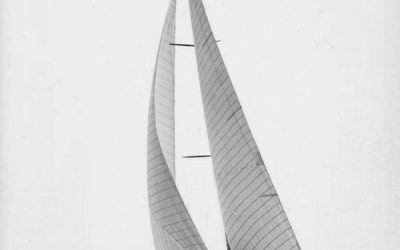 Firmness Carves The Song of Endurance
