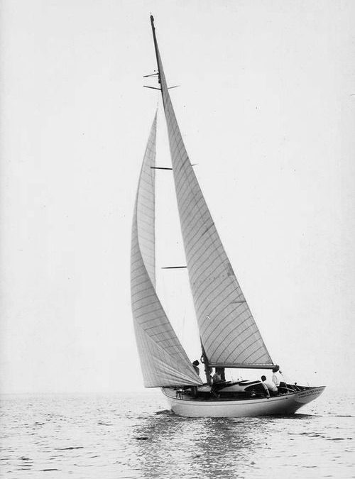 Firmness Carves The Song of Endurance