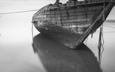 Devotion Anchors What Speed Cannot Secure