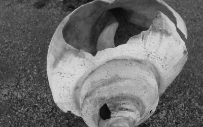 Every Fracture Hums Something Beautiful