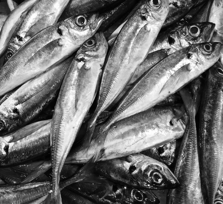 Life Flows, We Only Learn to Float Along