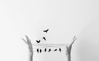 Dreams Need Discipline To Take Flight