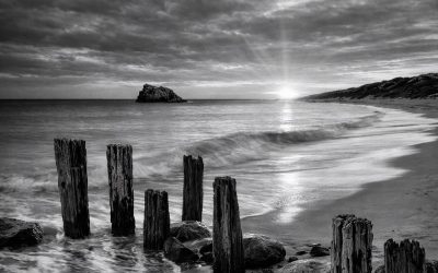 Flow With Life But Steer Your Own Path