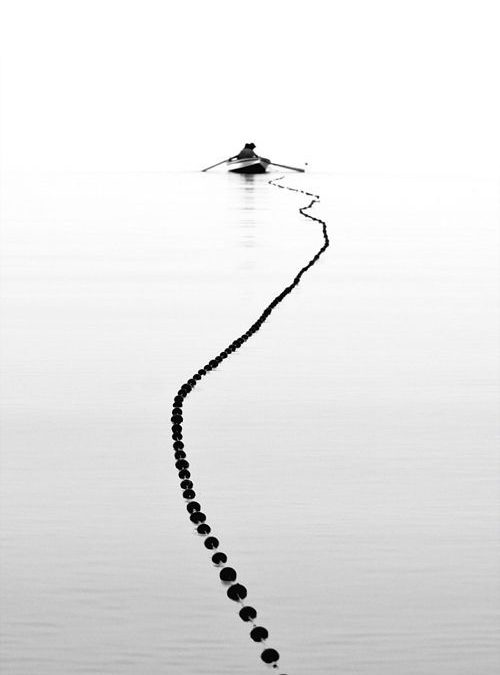 Distance Reveals What Closeness Hides