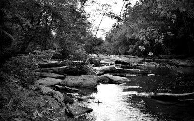 You Cannot Pause The River Of Life