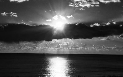 Life Is Shaped By The Lens We Carry