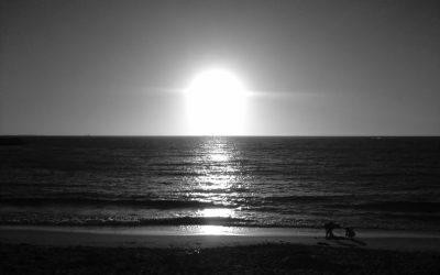 What Hurts Is Often The Should, Not The Is