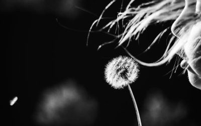 Love Leaves No One Out